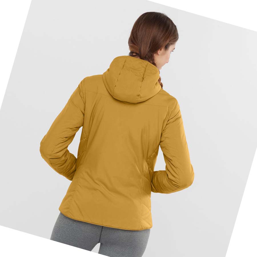 Chaquetas Salomon OUTRACK INSULATED Mujer Amarillos | MX 2454OKI